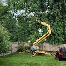 How Our Tree Care Process Works  in  Keene, TX